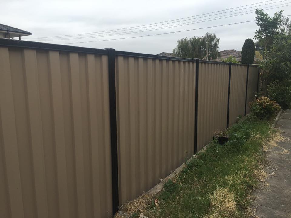 12417723_1568033266846412_3017701174710206895_n